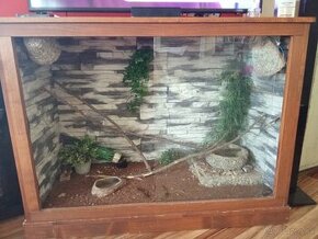 Terarium