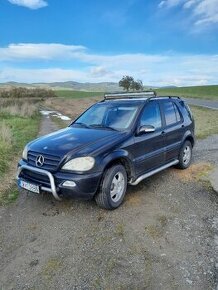 Mercedes ML w163 270cdi - 1