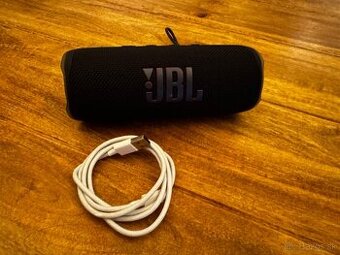 JBL Flip 6