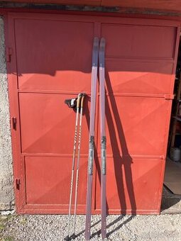 Bežky 190cm Vito/ski