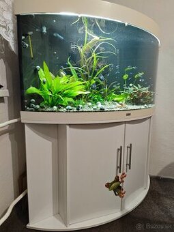 Rohove akvarium Juwel Trigon 350l - 1