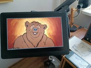 Wacom Cintiq 16 - 1