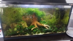 Akvarium plne