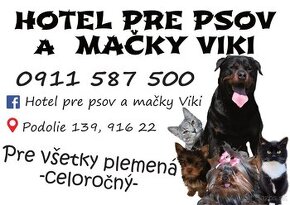 Hotel pre Psov a mačky - výcvik psov