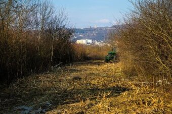 Hľadáme pracovníkov na ručný výrub náletových drevín