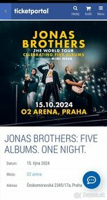 Koncert Jonas Brothers Praha - 1