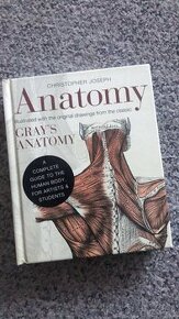 Anatomy