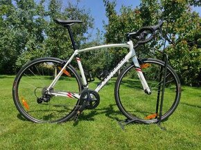 Specialized Allez - 1