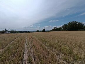 Predaj pozemku , časť Staré Levice , 4519 m2 , Levice - 1