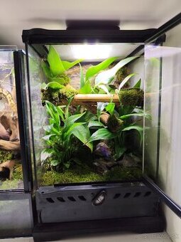 Terarium Exo terra