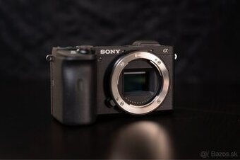 Sony Aplha 6600 (APS-C)