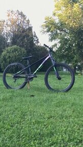 Ctm raptor 1.0 custom dirt - 1