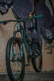 Specialized enduro comp 2015 - 1