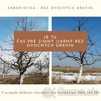 ZÁHRADNÍCKE SLUŽBY / REZ OVOCNÝCH DREVÍN / ÚDRŽBA ZÁHRAD