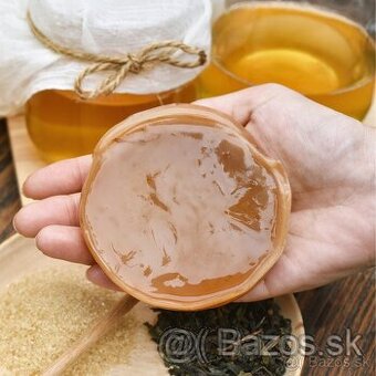 predám kombuchu / hubu do čaju  (scoby)