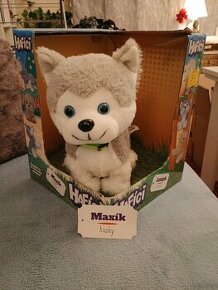 Hafici husky Maxik