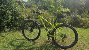 Specialized Rockhopper S,29”