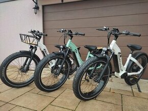 E Bike HIMIWAY Zebra green/white