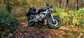 Yamaha fz6 - 1