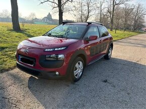 C4 cactus