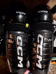 CCM tacks AS-V chranice, holene