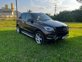 Mercedes ML 350 Bluetec Bez vzduchového podvozku