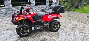 Arctic cat 1000