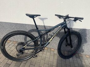 Specialized Epic Comp Evo 2020