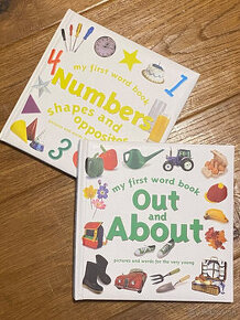 My First Word Book - Out and About + Numbers - 1