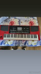 Korg PA300