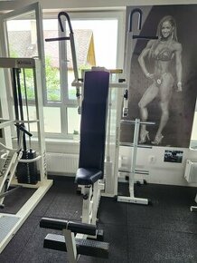 Chrbát biceps technogym posilňovací stroj