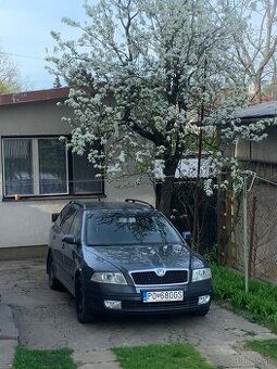 Škoda octavia 2 combi 1.9TDI