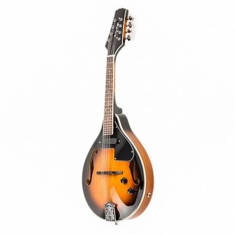 Predám elektro-akustickú mandolínu