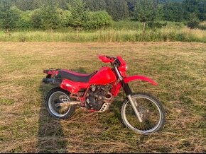 HONDA XL 600 R - PREDAM