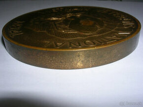 masívna AE medaila 1984 Vietnam Veterans National Medal
