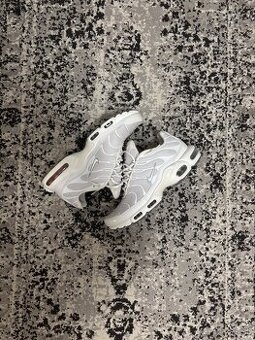 Nike air max TN (42)