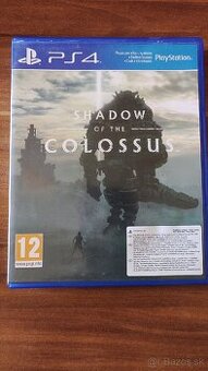 SHADOW OF THE COLOSSUS na konzolu PS4/PS5.