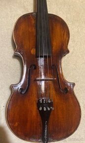 Viola-39