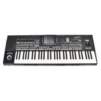 Predam korg pa x3