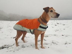 Zimný kabátik LUX pre stredne veľkého psa (Ridgeback)