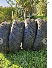 225/65 R17 Zimne - 1