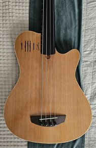 Godin A4 fretless