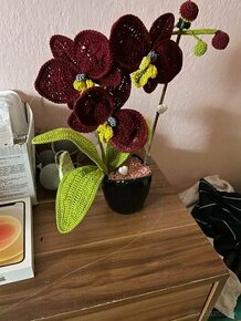 Elegantná háčkovaná orchidea