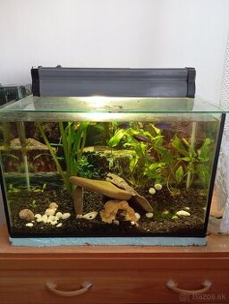 akvarium