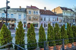 HLAVNÁ ul.-byt priamo v srdci mesta s klenbovými stropmi