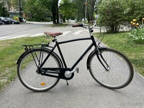 Mustang bike