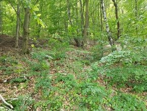 Pozemok na výstavbu chaty , Domaša - Tíšava