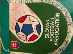 Slovak Football Association (Slovenská futbalová asociácia)