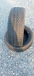 205/55 r16 Sava zimne