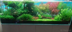 Komplet vybavené 400l akvarium (160/50/40)